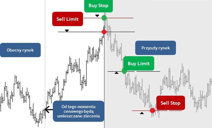 rodzaje zleceń forex