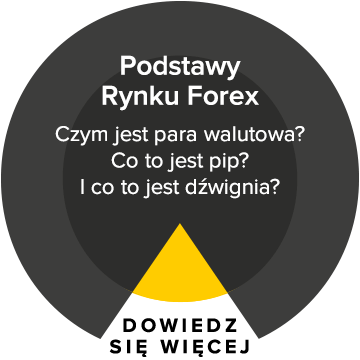 podstawy rynku forex