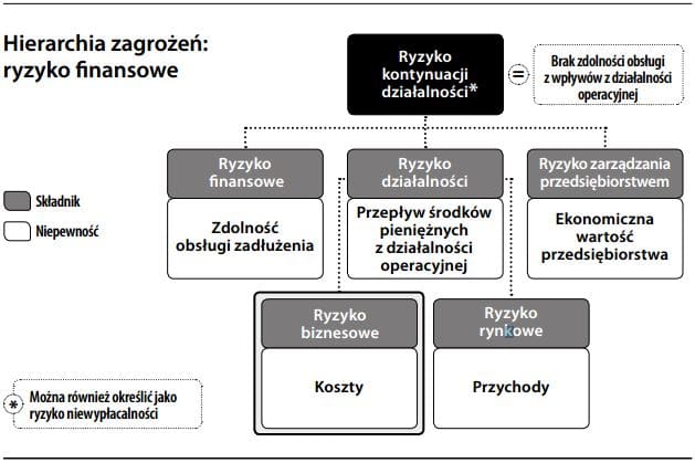 Ryzyko biznesowe