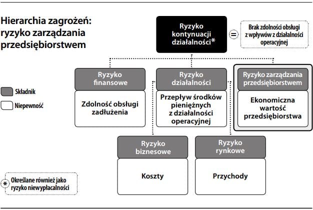 Ryzyko zarządzania przedsiębiorstwem