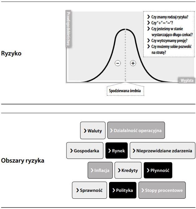 ryzyko i obszary ryzyka