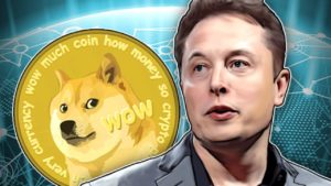 Elon musk dogecoin