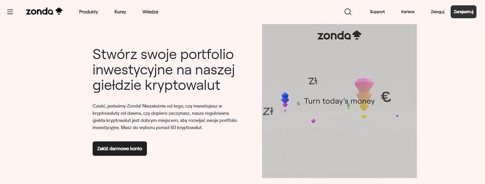 Zonda strona główna